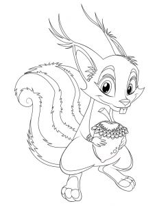 Coloriage D Ecureuil 456 Best ÐивоÑнÑе Images On Pinterest