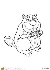 Coloriage D Ecureuil Coloriage écureuil Colorier Dessin Imprimer