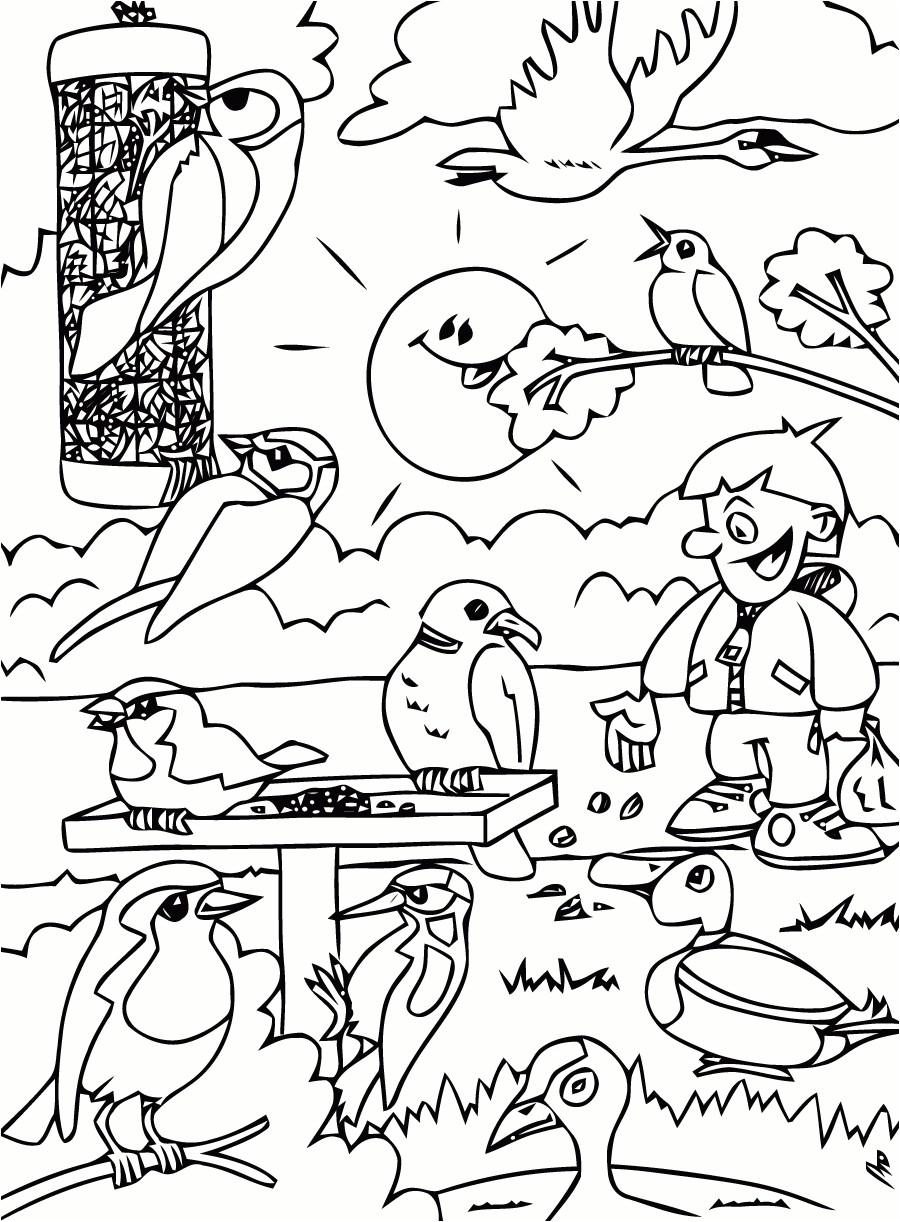 Coloriage D été Gratuit Inspiration Coloriage D Oiseaux   Imprimer Gratuitement