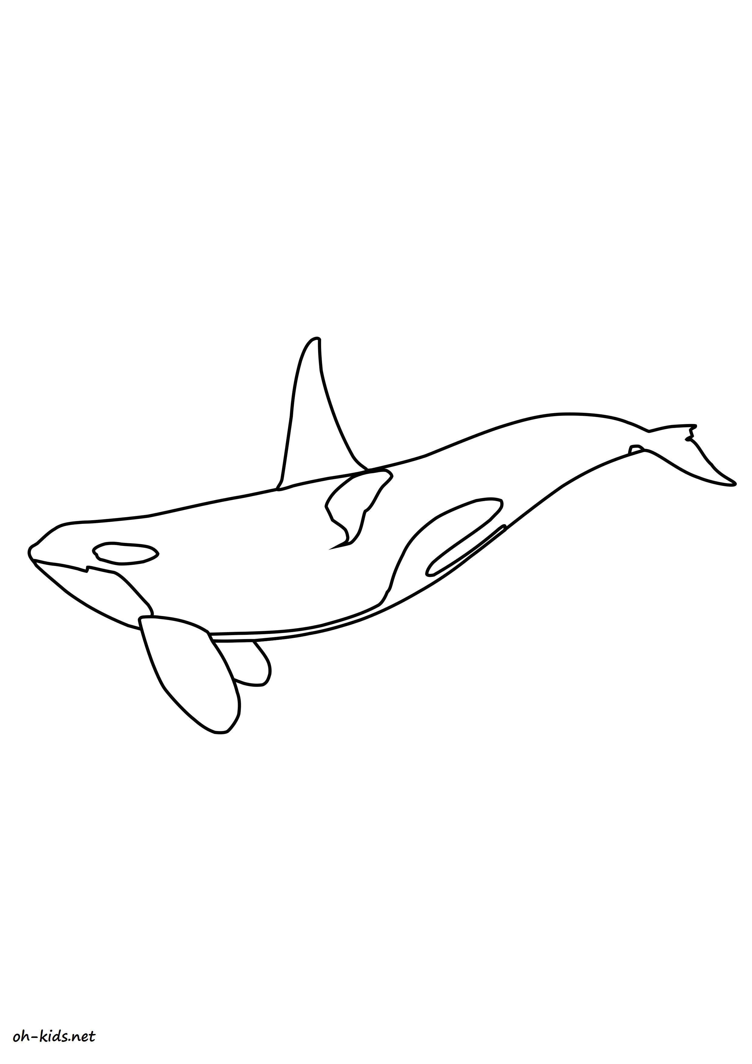 Coloriage D orque Dessin 1080 Coloriage orque   Imprimer Oh Kids