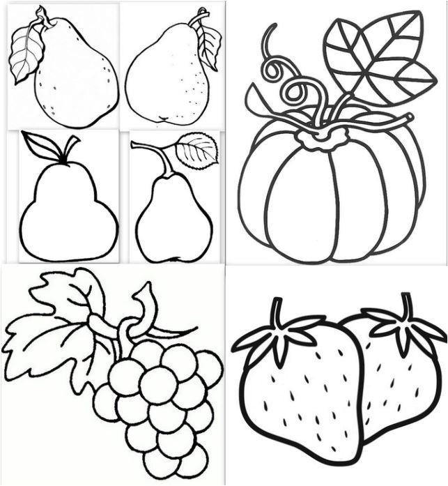 Coloriage D Une Pomme 50 Best Dessin Coloriage Images On Pinterest
