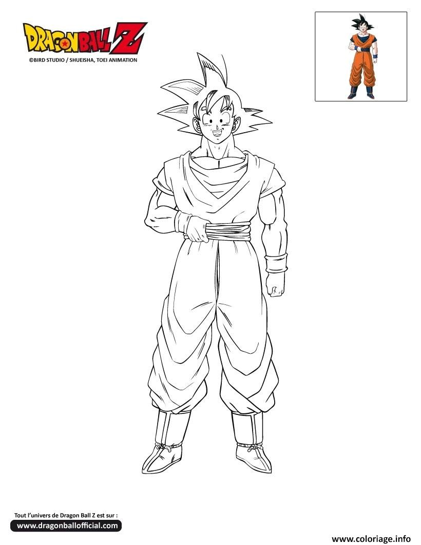 Coloriage Dbz En Ligne Coloriage Dbz Goku Dragon Ball Z Ficiel Dessin