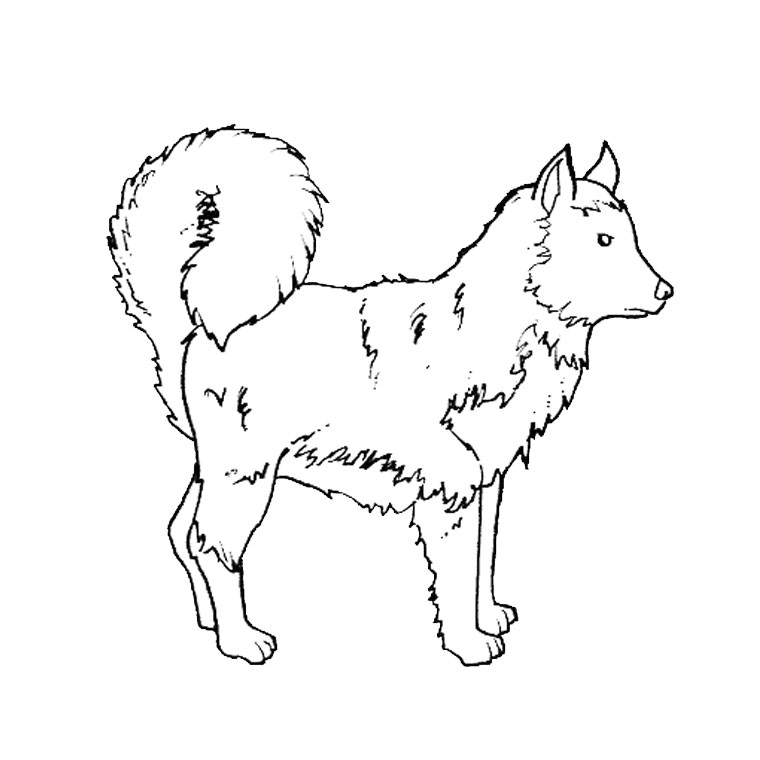 Coloriage De Berger Allemand Coloriage Berger Allemand Az Coloriage
