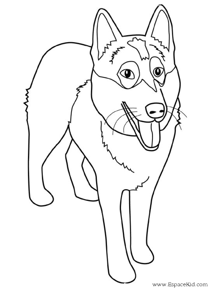 Coloriage De Berger Allemand Coloriage Berger Allemand   Imprimer Dans Les Coloriages Chien