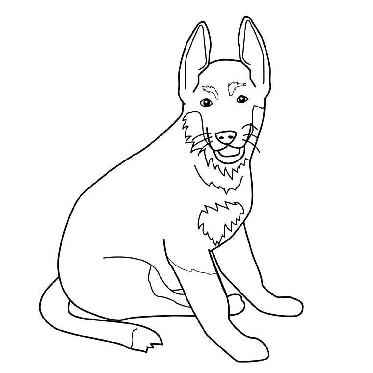 Coloriage De Berger Allemand Coloriage Chien Berger Allemand A Imprimer Gratuit Az Coloriage