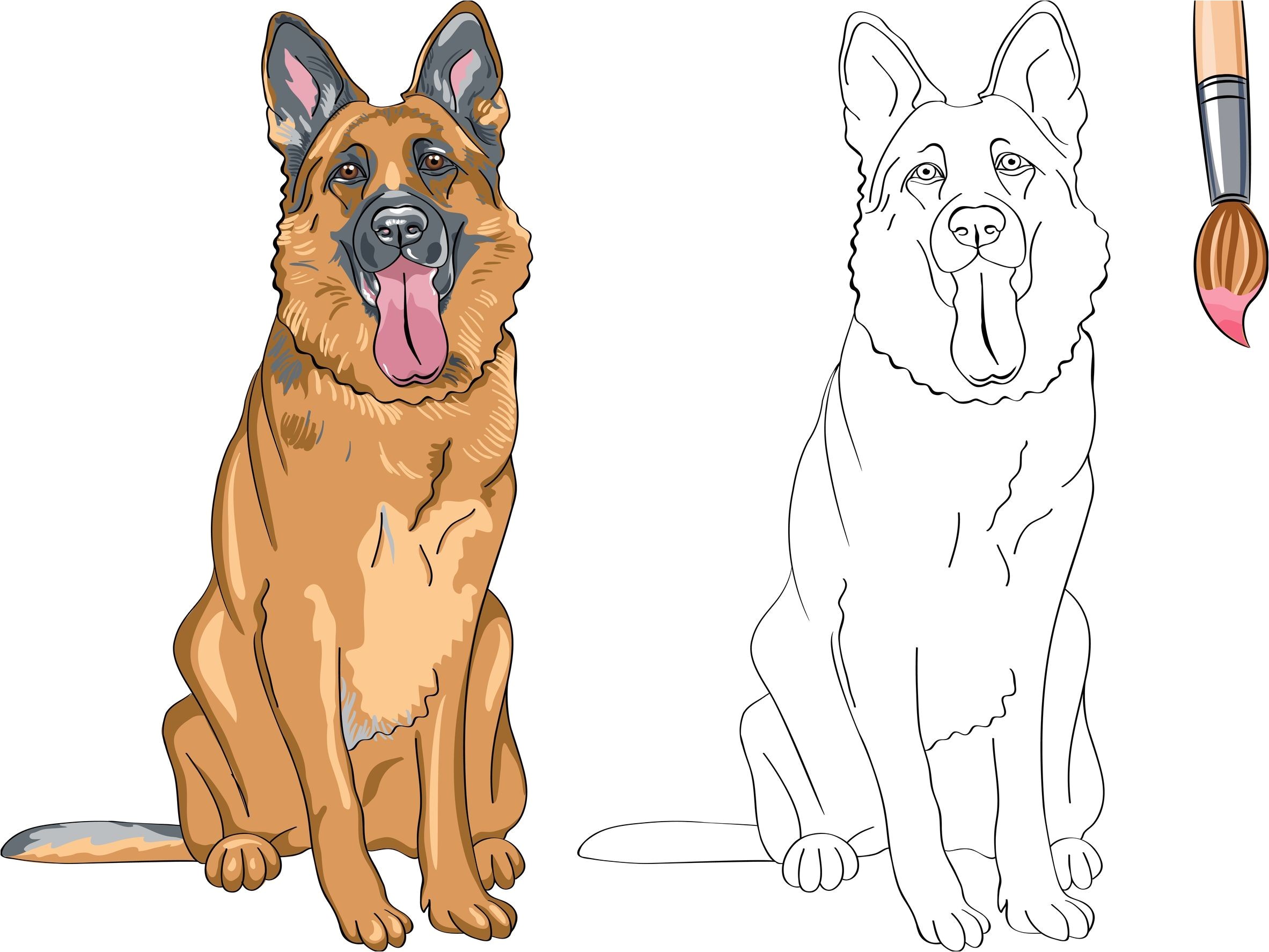 Coloriage De Berger Allemand Coloriage De Chien Shetland Fantastique Graphie Coloriage A