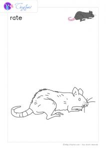 Coloriage De Boeuf Animaux Ferme Dessin A Colorier Rate Coloriage Ferme