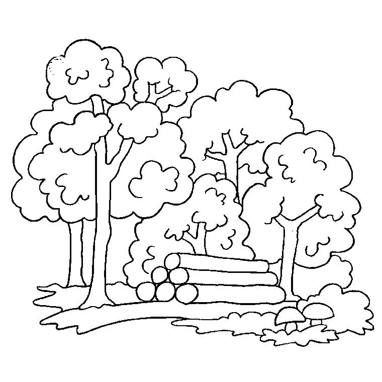 Coloriage De Bucheron Coloriage Arbre Dautomne A Imprimer Gratuit Coloriage Bucheron