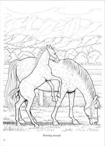 Coloriage De Chevau 58 Best Coloriage Chevaux Images On Pinterest