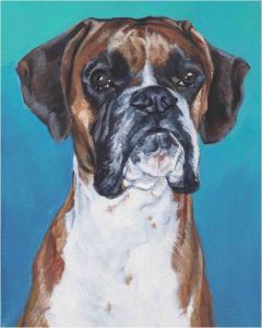 Coloriage De Chien Boxer 15 Best Boxers Images On Pinterest