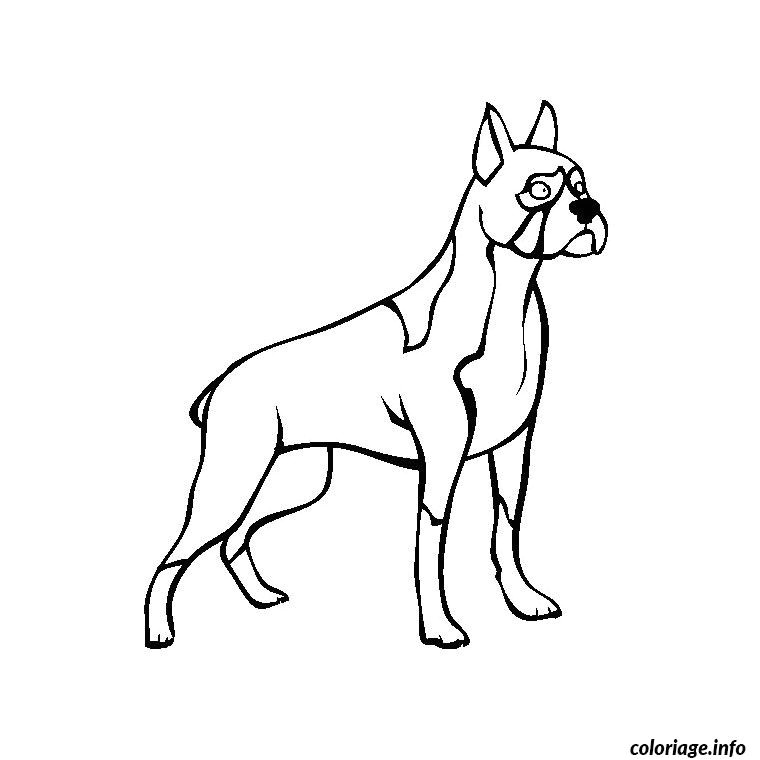 Coloriage De Chien Boxer A Imprimer Coloriage Chien Boxer Dessin