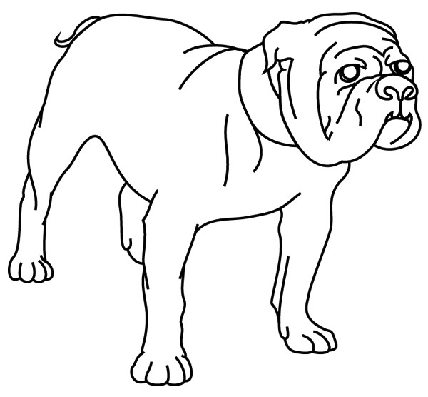 Coloriage De Chien Boxer A Imprimer Coloriage Chien Boxer
