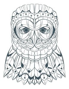 Coloriage De Chouette A Imprimer 44 Best Coloriages De Hiboux Pour Adulte Owl Adult Coloring Pages