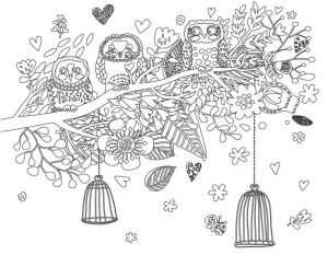 Coloriage De Chouette A Imprimer 44 Best Coloriages De Hiboux Pour Adulte Owl Adult Coloring Pages