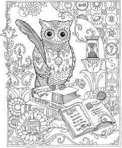 Coloriage De Chouette A Imprimer 50 Best Dessin Coloriage Images On Pinterest