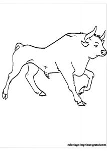 Coloriage De Corrida Dessin A Imprimer Gratuit Vache Mignon Design Animaux Coloriage