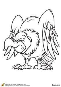 Coloriage De Cygne 110 Best Coloriages D Oiseaux Images On Pinterest