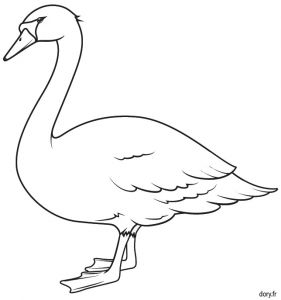 Coloriage De Cygne Dessin Colorier Un Cygne Dessins