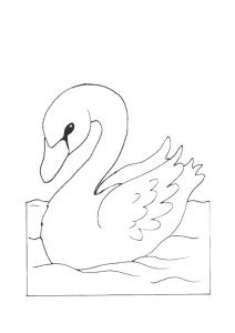 Coloriage De Cygne Les 22 Meilleures Images Du Tableau ªtre Légendaire Sur Pinterest
