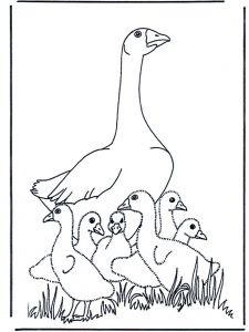 Coloriage De Cygne Mother Goose Birds Clipart De Scrap Et Coloriage