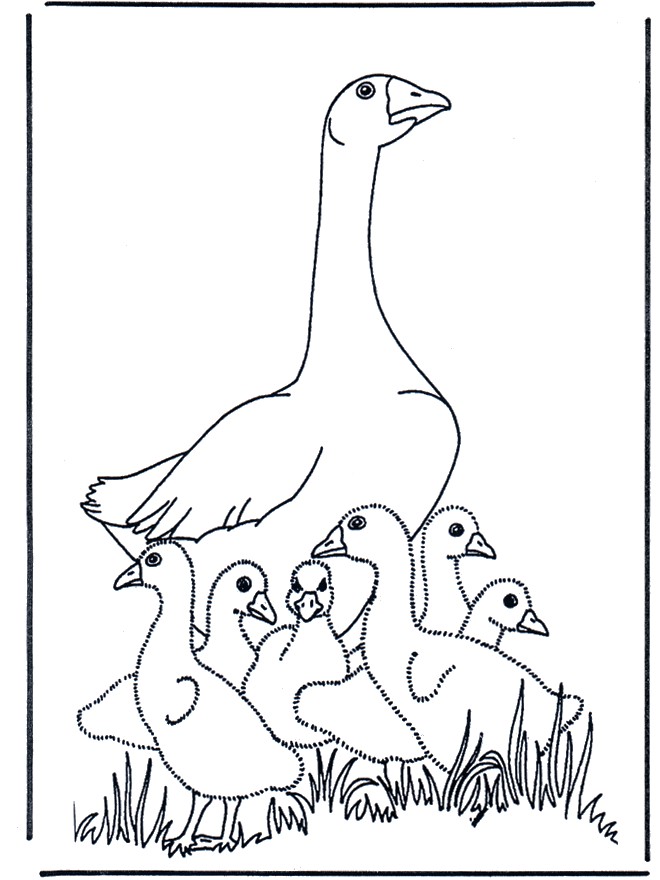 Coloriage De Cygne Mother Goose Birds Clipart De Scrap Et Coloriage