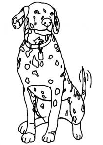 Coloriage De Dalmatien Coloriage Chien Dalmatien