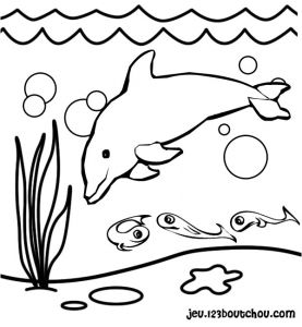 Coloriage De Dauphin à Imprimer Gratuit De Coloriage Dauphin Les Beaux Dessins De Animaux Coloriage
