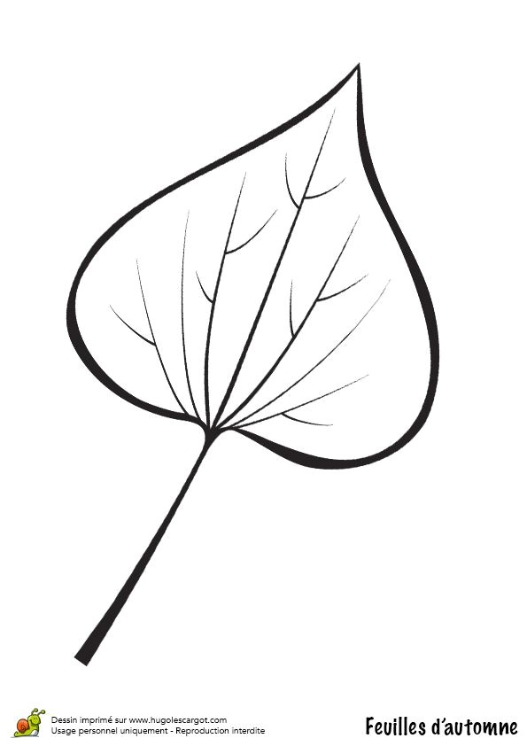 Coloriage De Feuilles D Automne 9 Best Droits De L Enfant Images On Pinterest