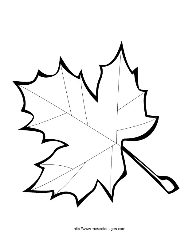 Coloriage De Feuilles D Automne Feuille De Diddl A Imprimer Az Coloriage