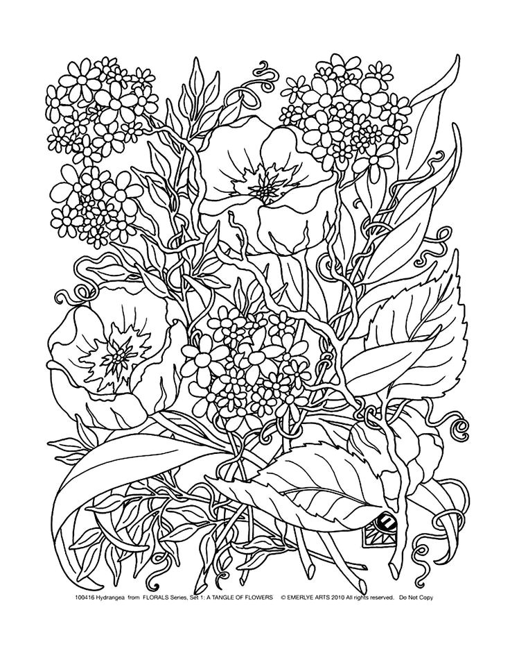 Coloriage De Fleurs à Imprimer Gratuit 87 Best Flowers Coloring Pages Images On Pinterest
