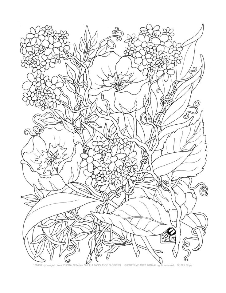 Coloriage De Fleurs à Imprimer Gratuit Les 64 Meilleures Images Du Tableau Colouring Pages Sur Pinterest