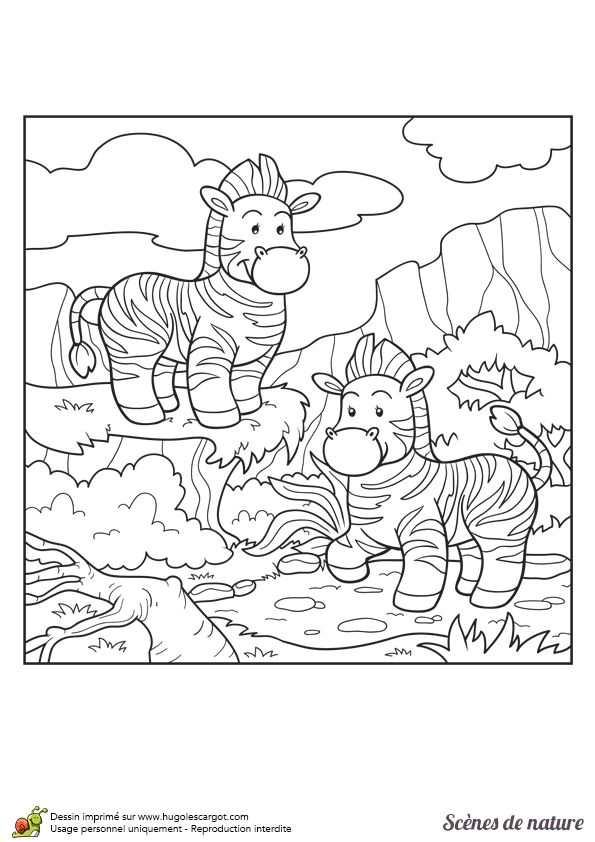 Coloriage De Fleurs Gratuit à Imprimer 77 Best Coloriages De Bébés Animaux Images On Pinterest