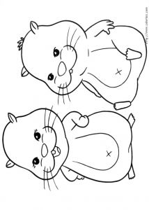 Coloriage De Hamster A Imprimer 17 Dessins De Coloriage Hamster A Imprimer Gratuit   Imprimer