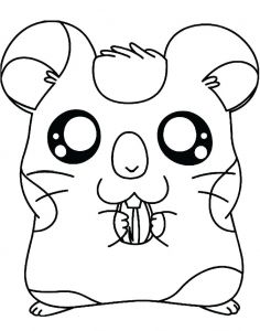 Coloriage De Hamster A Imprimer Coloriage Hamster Imprimer Hamster 59 Animaux Coloriages A Imprimer
