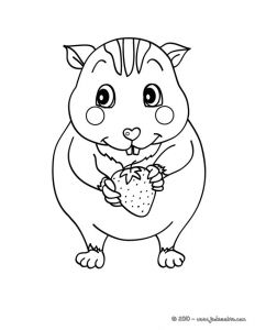 Coloriage De Hamster A Imprimer Coloriages Coloriage D Un Bébé Hamster Fr Hellokids
