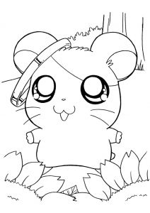 Coloriage De Hamster A Imprimer Hamster 45 Animaux – Coloriages Imprimer