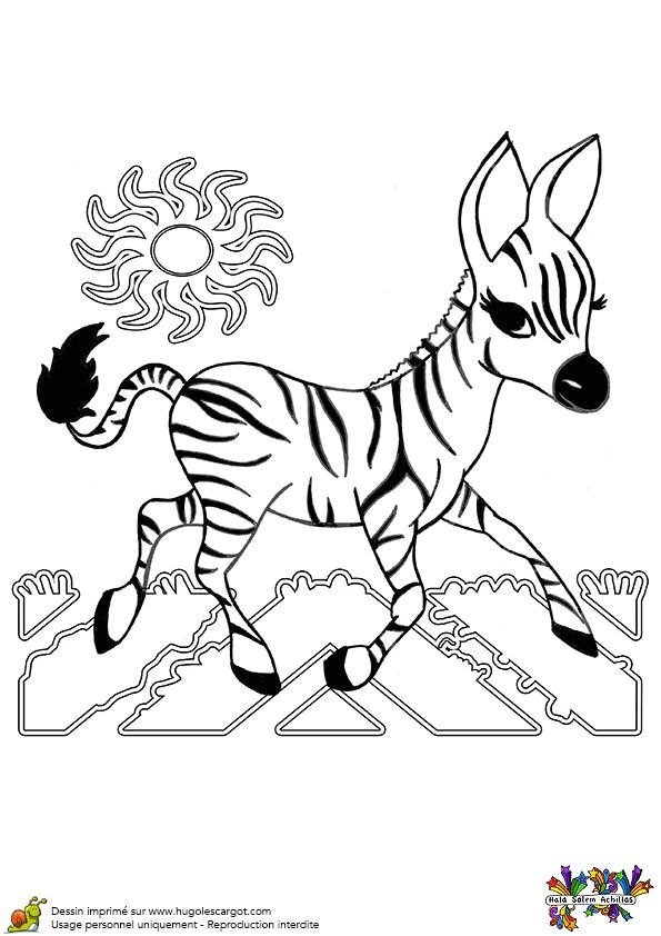 Coloriage De La Terre A Imprimer 77 Best Coloriages De Bébés Animaux Images On Pinterest