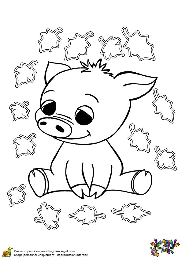 Coloriage De La Terre A Imprimer 77 Best Coloriages De Bébés Animaux Images On Pinterest