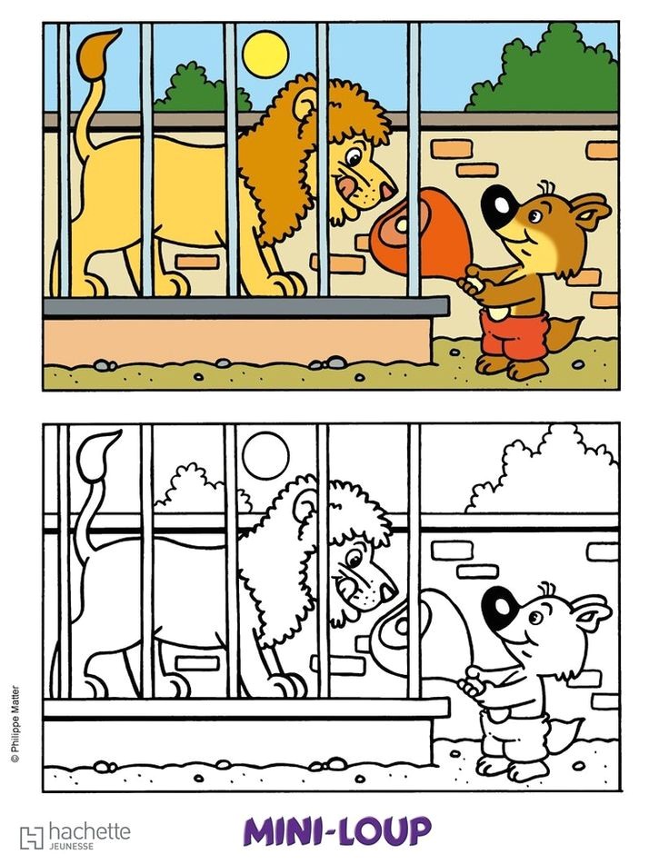 Coloriage De Mini Loup 34 Best La Librairie Du Requin Sharks Books Images On Pinterest