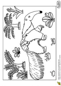 Coloriage De Nourriture 77 Best Coloriages De Bébés Animaux Images On Pinterest