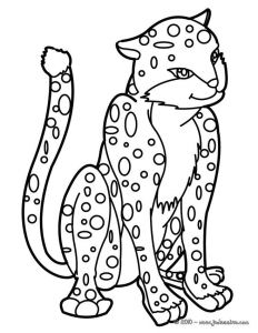 Coloriage De Olive Et tom 84 Best Coloriages Animaux Sauvages Images On Pinterest