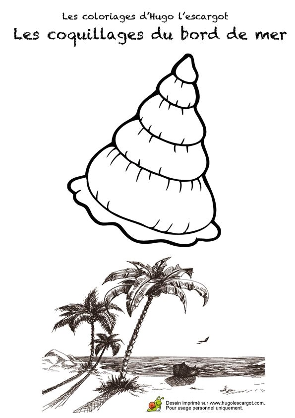 Coloriage De Palmier 143 Best Coloriages Vacances D été Images On Pinterest