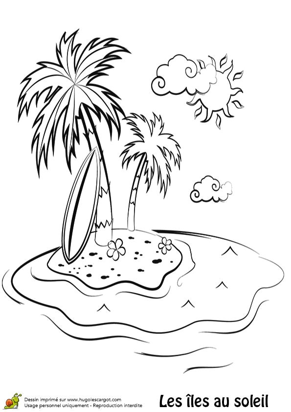 Coloriage De Palmier 143 Best Coloriages Vacances D été Images On Pinterest