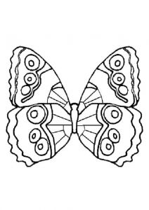 Coloriage De Papillon Gratuit à Imprimer Best 154 Coloriage De Papillons Et Autres Insectes Ideas On