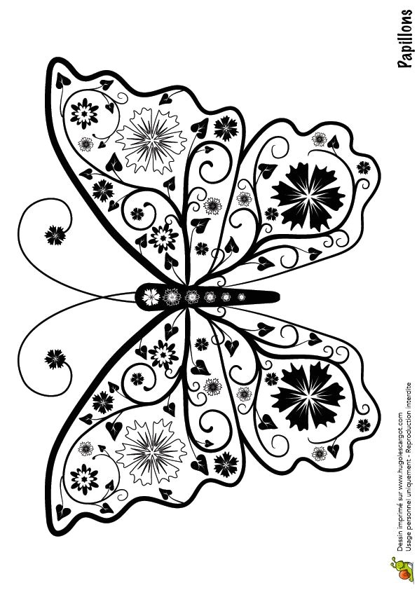 Coloriage De Papillon Sur Une Fleur 71 Best Coloriages Images On Pinterest