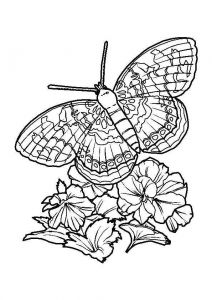 Coloriage De Papillon Sur Une Fleur Best 154 Coloriage De Papillons Et Autres Insectes Ideas On