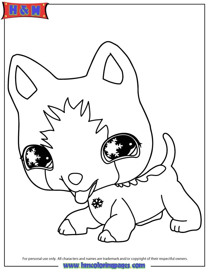 Coloriage De Pet Shop Gratuit à Imprimer 31 Best Littlest Pet Shop Party Ideas Images On Pinterest Coloriage De Pet Shop Gratuit à Imprimer 31 Best Littlest Pet Shop Party Ideas Images On Pinterest