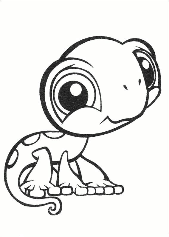 Coloriage De Pet Shop Gratuit à Imprimer 31 Best Littlest Pet Shop Party Ideas Images On Pinterest
