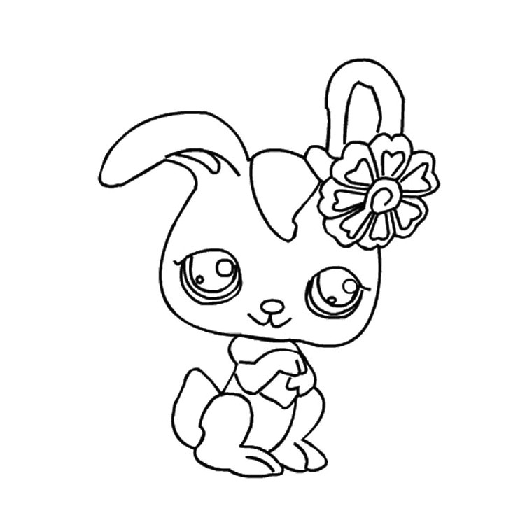 Coloriage De Pet Shop Gratuit à Imprimer Coloriage Coccinelle Imprimer Coloriages Coccinelle Coccinelle