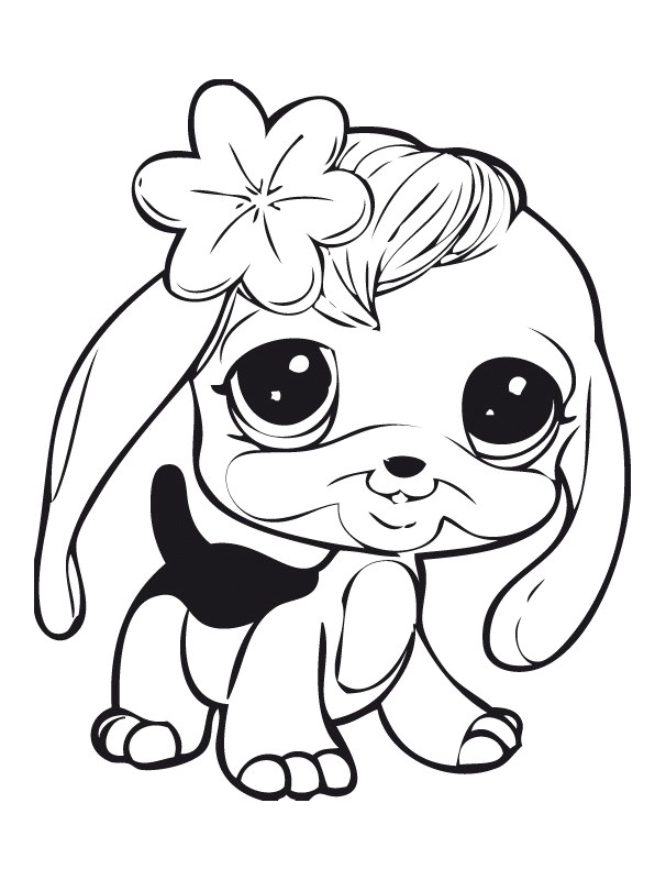 Coloriage De Pet Shop Gratuit à Imprimer Coloring Lps Pinterest